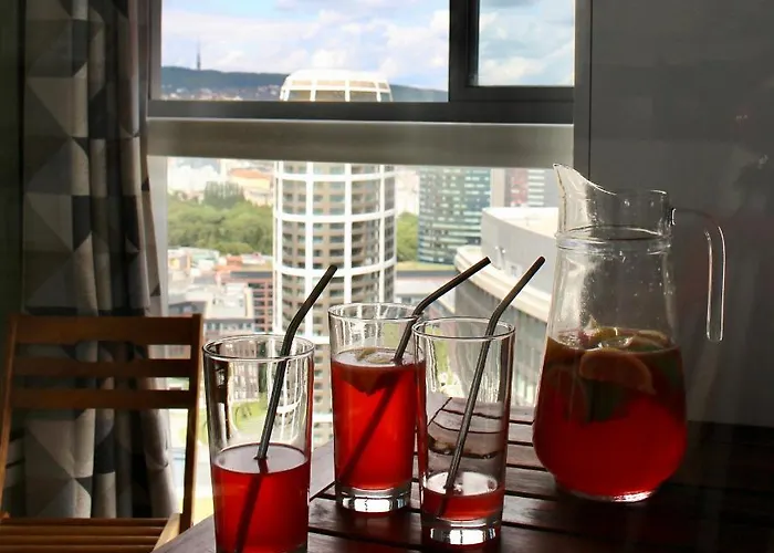 Downtown View * 布拉迪斯拉发